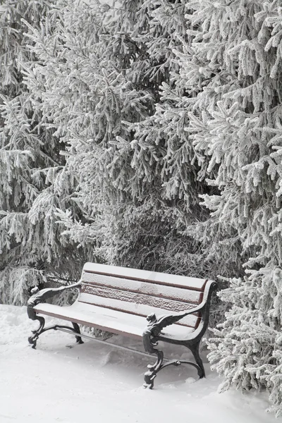 Banco coberto de neve no parque da cidade — Fotografia de Stock