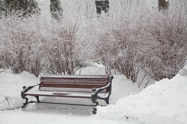 Banco coberto de neve no parque da cidade — Fotografia de Stock