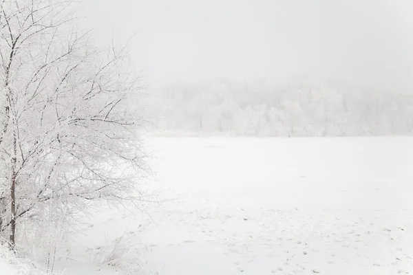 ฤดูหนาว ภูมิทัศน์สีขาวหมอก — ภาพถ่ายสต็อก