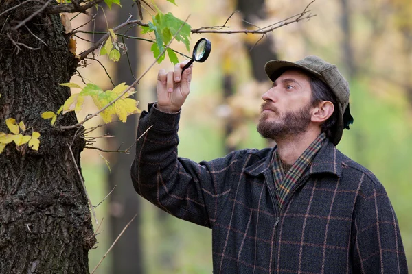 Man detective with a beard studying tree leaves in autumn forest — Stock Photo, Image