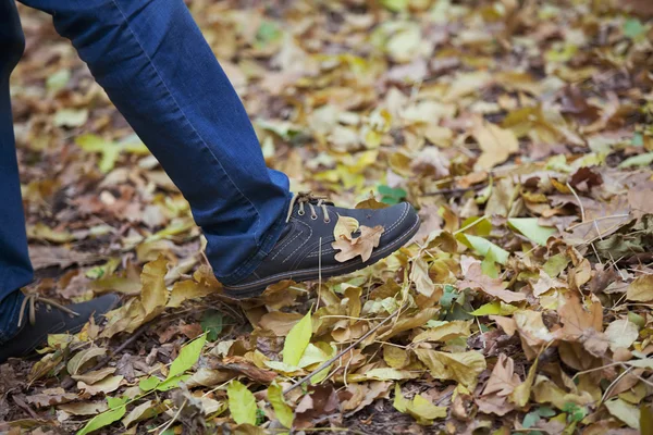 Πεσμένα φύλλα oxfords ανδρών — Φωτογραφία Αρχείου