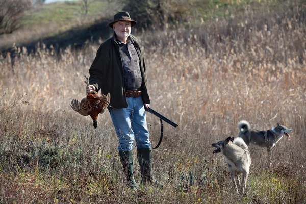 Jäger mit Wildvogel und Hunden — Stockfoto