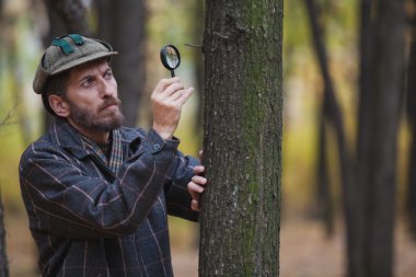 Sakallı bir adam Dedektif bir ağaç gövdesi inceliyor