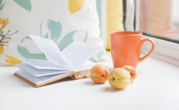 Reader summer set on a windowsill at rainy day — Stock Photo, Image