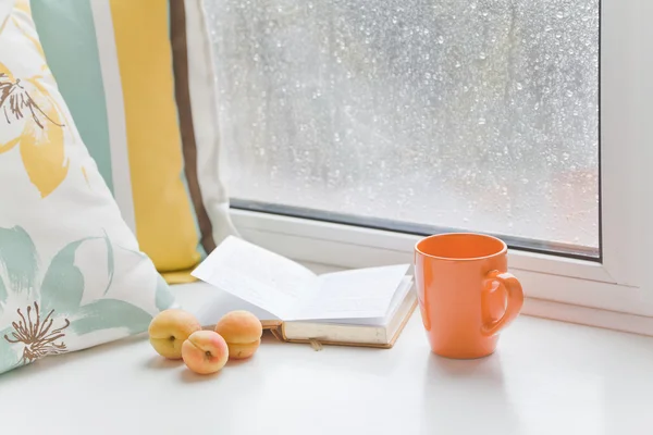 Set romantico per leggere accogliente in una giornata estiva piovosa — Foto Stock