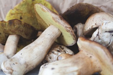 Beyaz mantar closeup kesmek