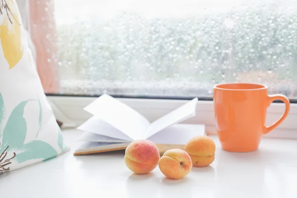 Романтический набор для уютного чтения в дождливый летний день — стоковое фото
