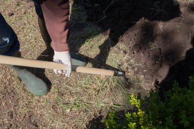 Lastik çizmeli işçi, güneşli bir yerde özel bir yabayla toprağı kazıyor.