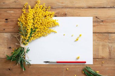 Romantik bahar yazma için ayarlayın. Bir buket sarı Mimoza ve vintage mürekkep kalem beyaz pape bir sayfasına yalan