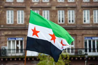 Syrian diaspora protests against Syrian war