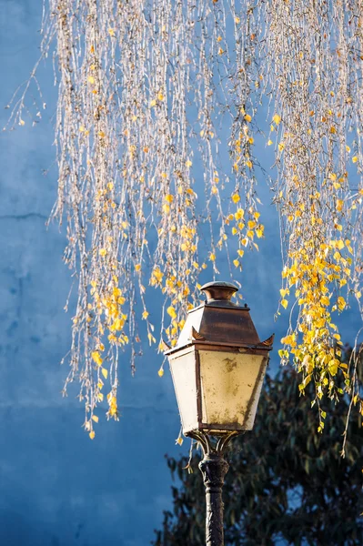 Linterna Antigua Lámpara Calle Vintage Con Árbol Hoja Amarilla Fondo —  Fotos de Stock