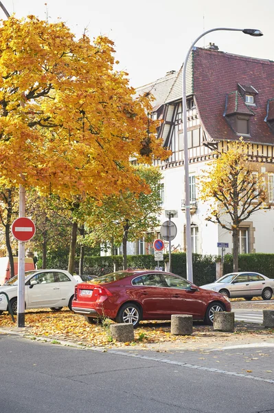 Carro de luxo Volvo S60 sedan estacionado sob uma árvore de outono amarelo — Fotografia de Stock