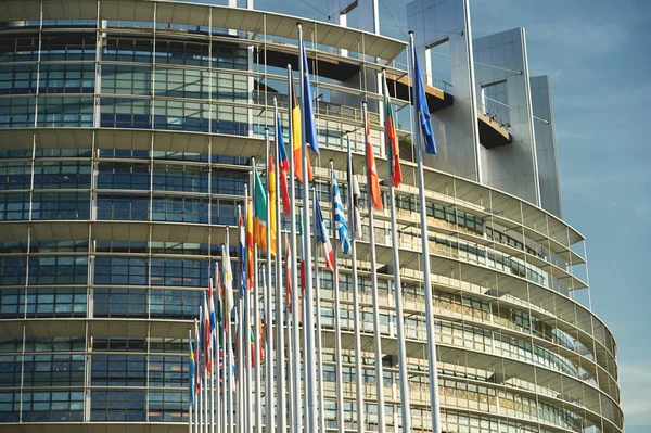 All European Union Flags Strasbourg Strasburg — Stock Photo, Image