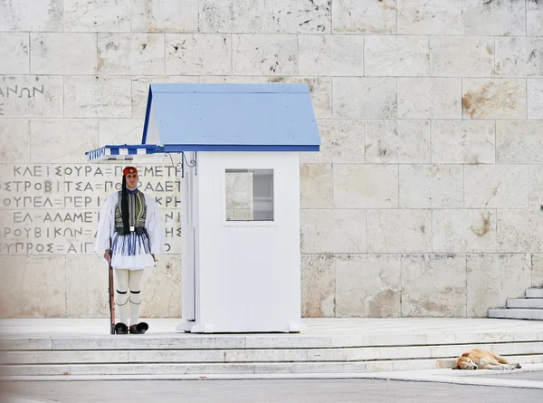 Still honor Evzones guards ceremony in front of  the Tomb of the — Stock Photo, Image