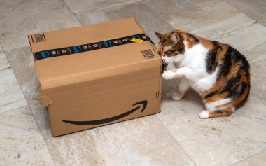 Amazon Prime 'ın yeni dağıtılan e-ticaretini açmaya çalışan meraklı kedi.