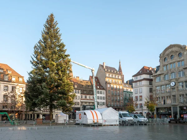 Aufstellung eines großen Weihnachtsbaums im Zentrum von Straßburg — Stockfoto