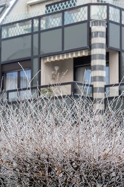 Buzlu ağaç dalları ve arka planda modern apartman binası — Stok fotoğraf
