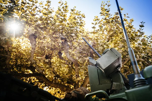 Rifle apuntaba al cielo cerca de una copa de árbol de platano del vehículo blindado de combate de infantería —  Fotos de Stock