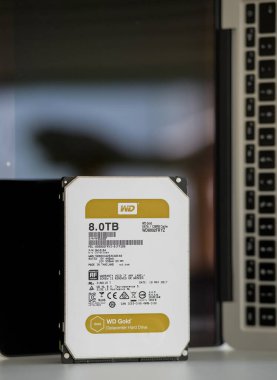 Western Digital 8TB terabayt veri tabanının ön görünümü altın sabit disk sürücüsü
