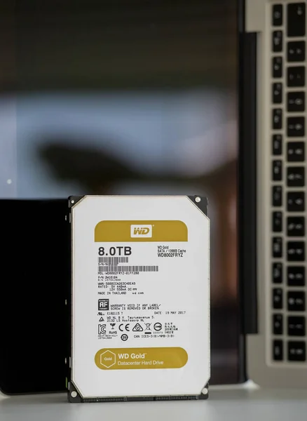 Vista frontale di Western Digital 8TB terabyte datacenter gold hard disk drive — Foto Stock