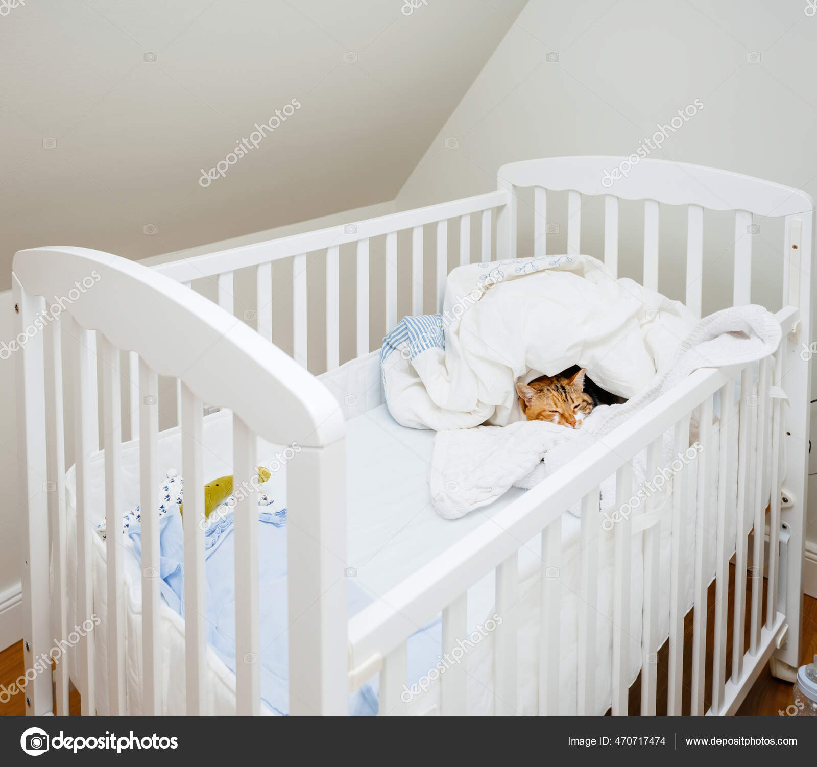 Cat In Baby Crib Clearance Selling www.meesenburg.kz