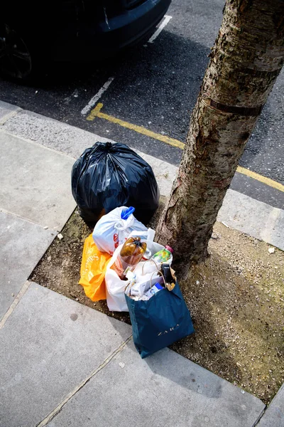 Diversi rifiuti organici e di carta in sacchi vicino a un albero nel centro di Londra — Foto Stock