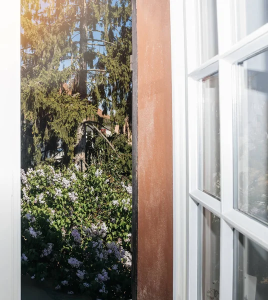 Blick auf frischen Frühling Flieder Blume in Blüte — Stockfoto