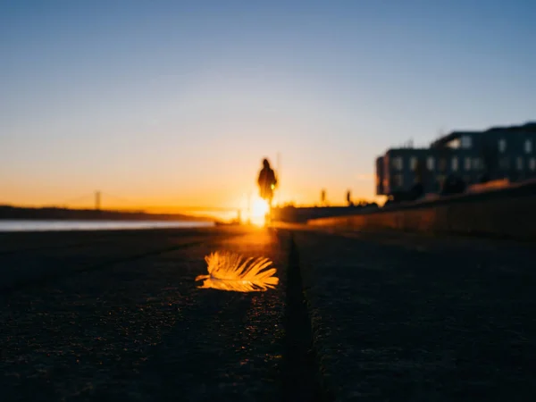 Mujer yendo al atardecer y puente alto dejando atrás una pluma de pájaro —  Fotos de Stock