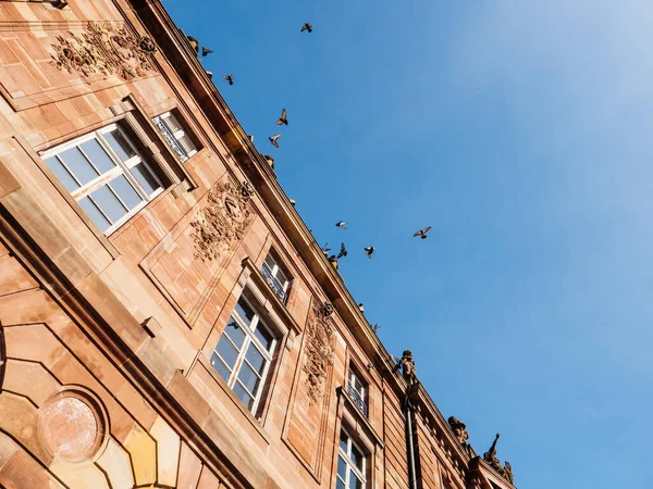 Low angle view of stone facade decorated with diverse romantic bas relief and large crowd of pigeons — Stock Photo, Image