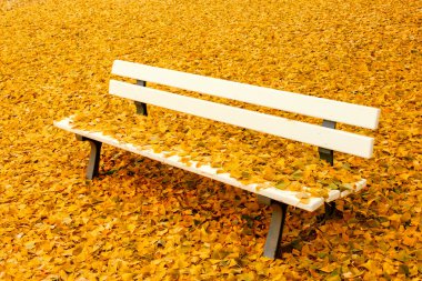 Bench in autumn park clipart