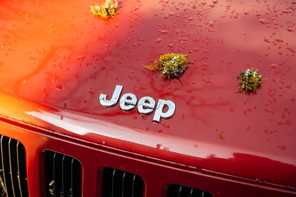 Jeep Logo no capô do carro com planta musgo — Fotografia de Stock
