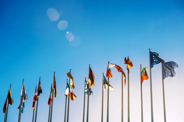 Drapeaux de l'Union européenne — Photo