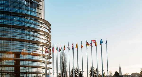 All European Union Flags in Strasbourg — Stock Photo, Image