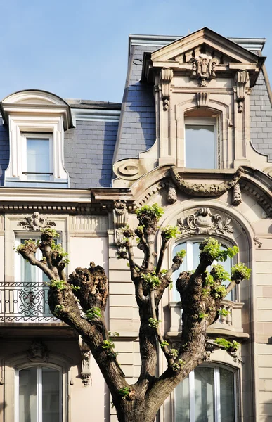 Fachada de edificio en París, Francia . — Foto de Stock