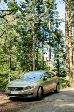 Yeşil için ortasında hibrid Volvo S60 çift araba park