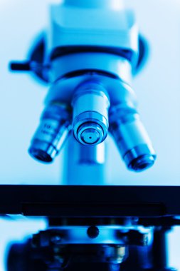 Mikroskop mükemmel detay