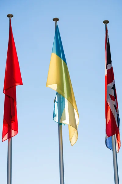 Ukrayna bayrağı - Konsey 0f Avrupa — Stok fotoğraf