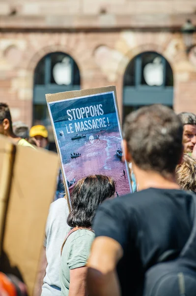 Pilot balina tutuklanması karşı katliam protesto deniz çoban