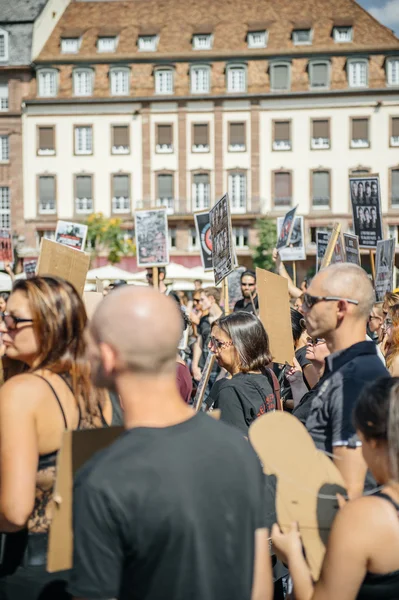 Meeresschäfer protestieren gegen Schlachtung von Grindwalen Festnahme von — Stockfoto