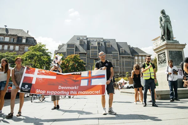 Sea Shepherd protesting against slaughter pilot whales arrest of — Stock Photo, Image