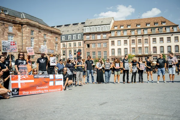 Sea Shepherd protesting against slaughter pilot whales arrest of — Stock Photo, Image