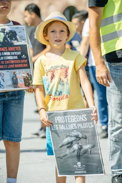 Sea Shepherd protesting against slaughter pilot whales arrest of — Stock Photo, Image