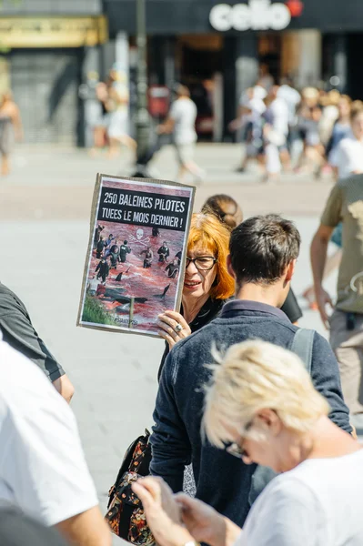 Sea Shepherd protesting against slaughter pilot whales arrest of — Stock Photo, Image