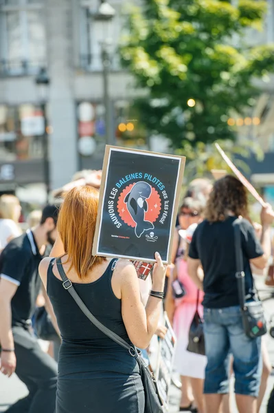 Sea Shepherd protesting against slaughter pilot whales arrest of — Stock Photo, Image