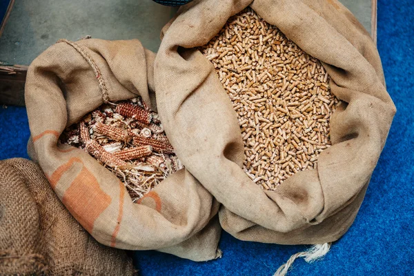 Pellets fabriqués à partir de cultures énergétiques dans des sacs biologiques — Photo