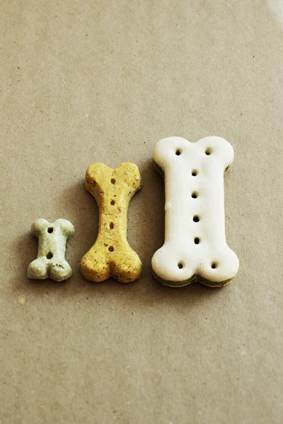 Three dog dry food biscuits — Stock Photo, Image