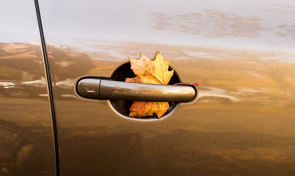 Yellow leaf in car door — Stock Photo, Image