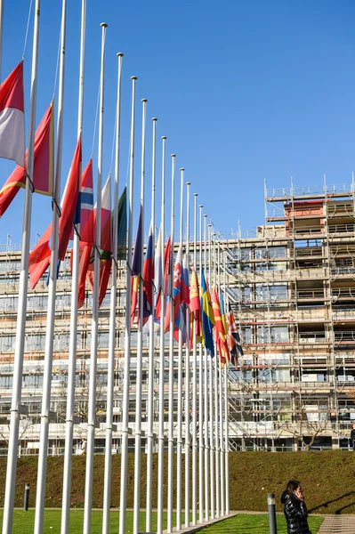 Bandeiras de meia haste de todos os países da União Europeia depois de Paris — Fotografia de Stock