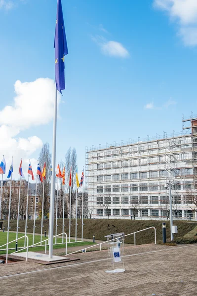 Celebrating the first European Day on the Protection of Children — Stock Photo, Image