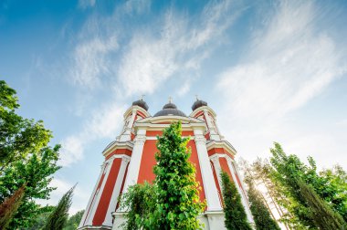 Orthodox church facade surrounded by vivid green trees